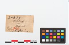 Etikett zu Bernsteinring (NHMW-PRAE-024637)